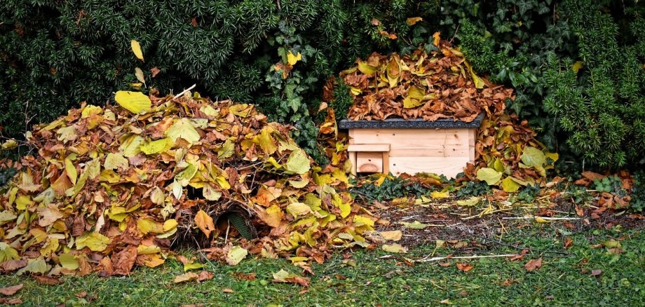 Laubhaufen für Tiere im Garten. Unter einem befindet sich ein Igelhaus